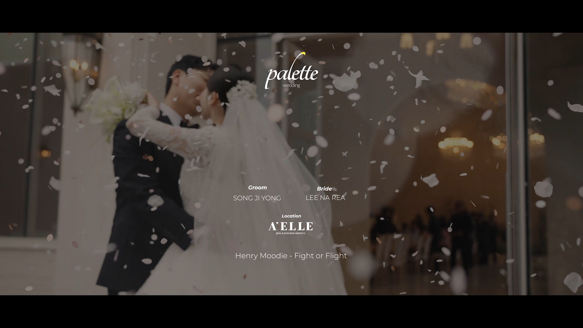 아엘르 하이라이트